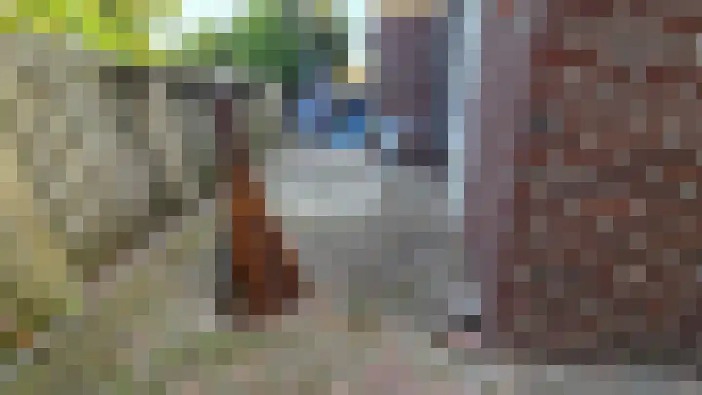 Dijk 23 A Grevenbicht thumbnail 4