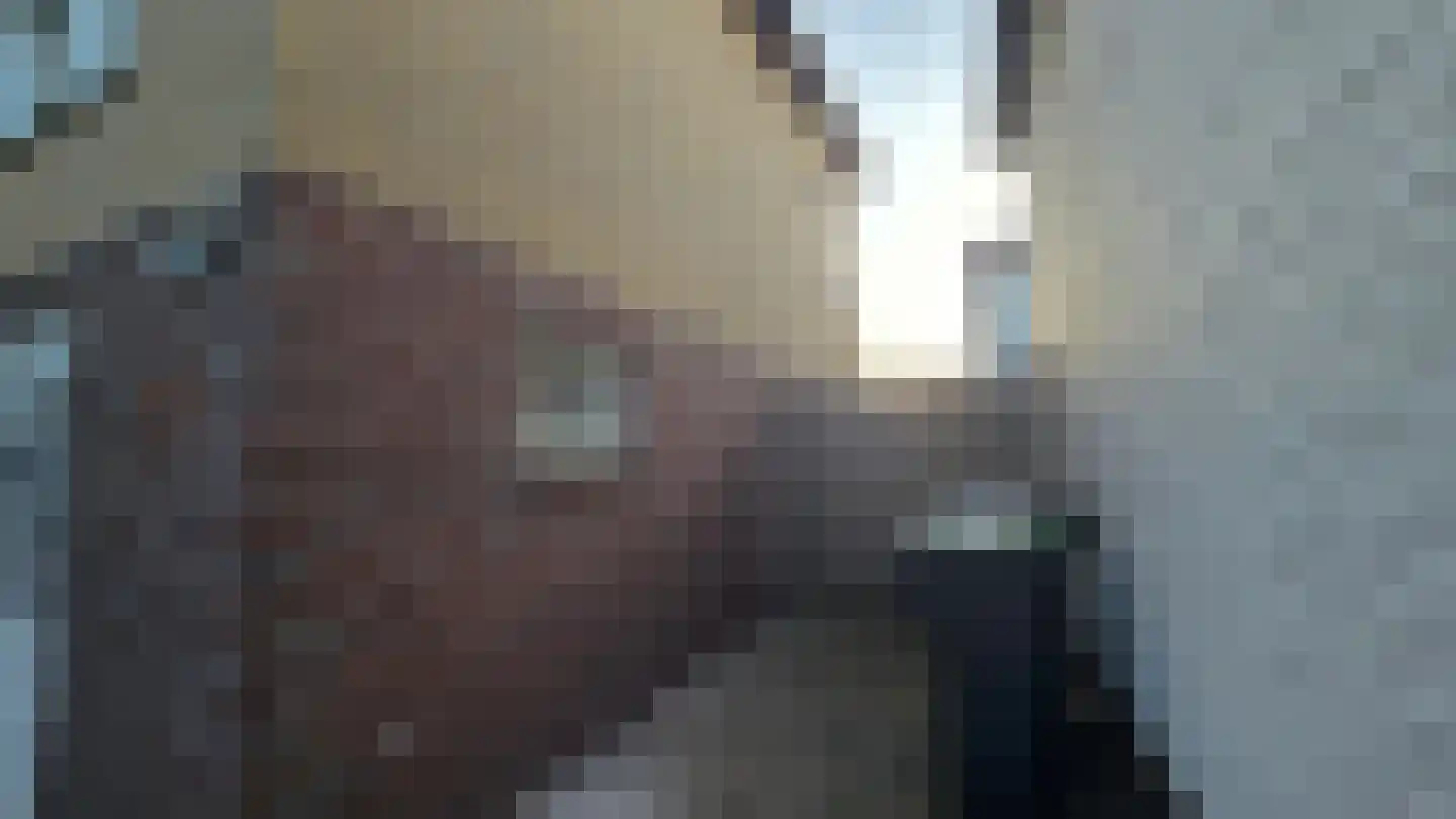 Dijk 23 A Grevenbicht thumbnail 6