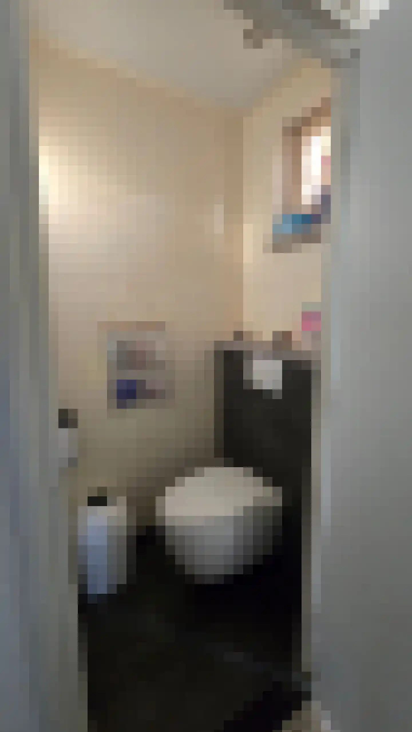 Dijk 23 A Grevenbicht thumbnail 7