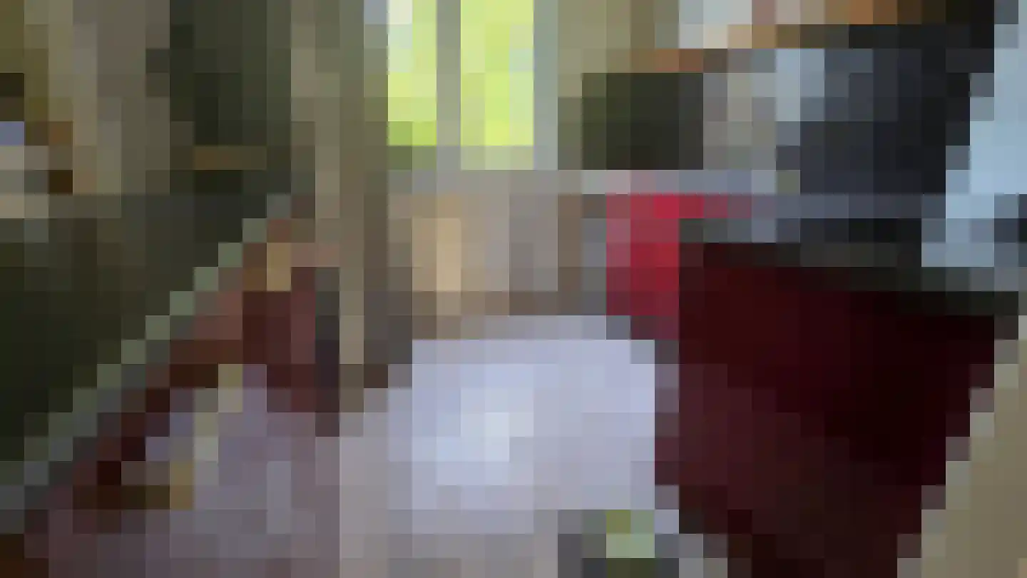 Dijk 23 A Grevenbicht thumbnail 8