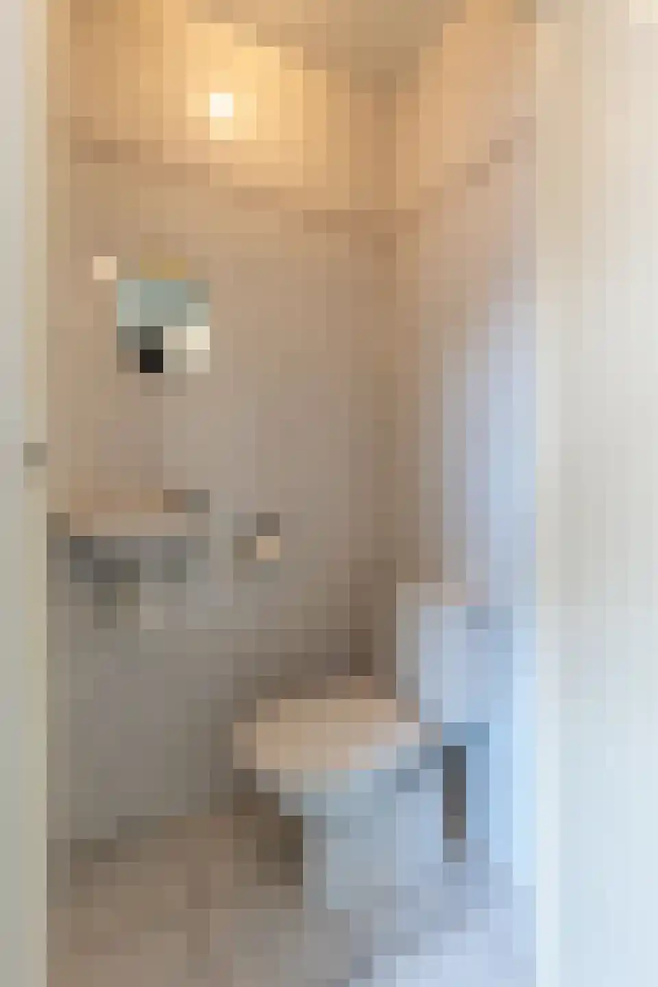 Dijk 26 Grevenbicht thumbnail 11