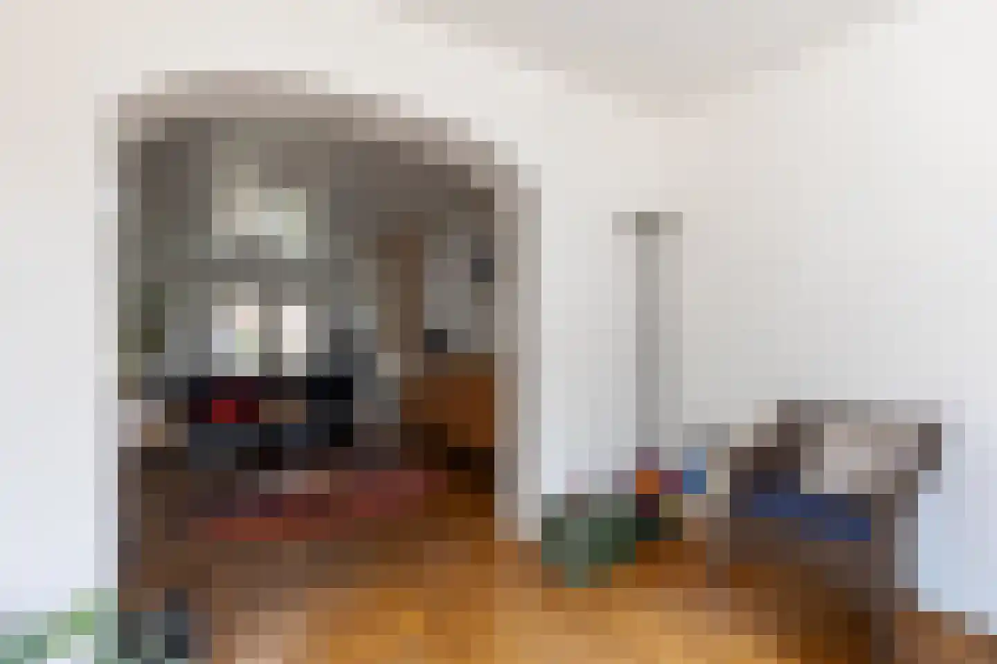 Dijk 26 Grevenbicht thumbnail 15