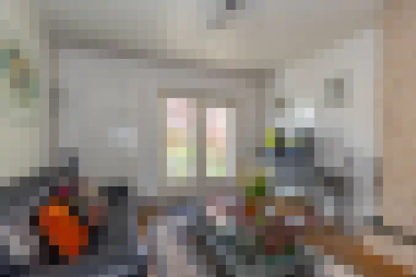Dijk 26 Grevenbicht thumbnail 17