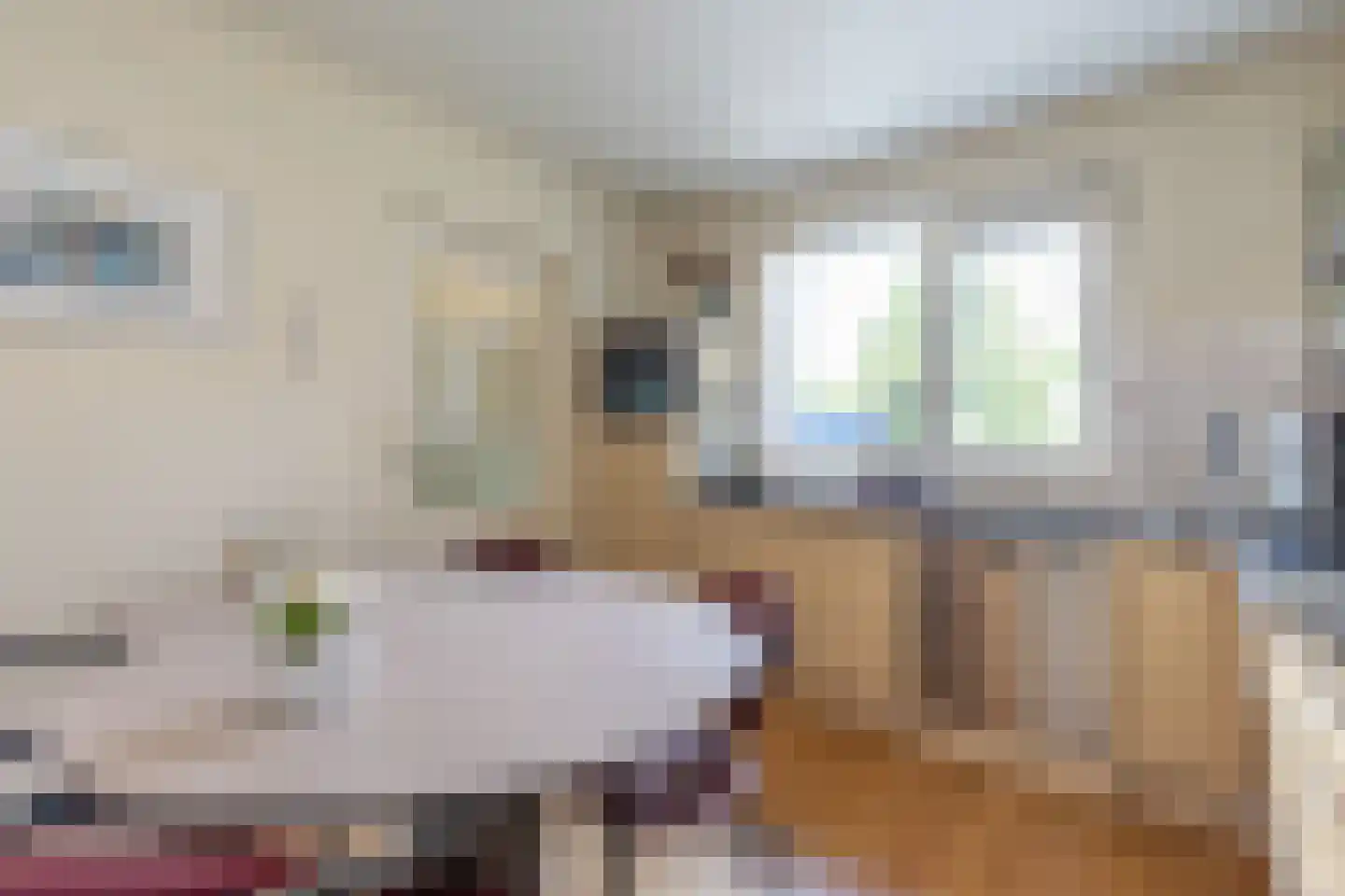 Dijk 26 Grevenbicht thumbnail 18