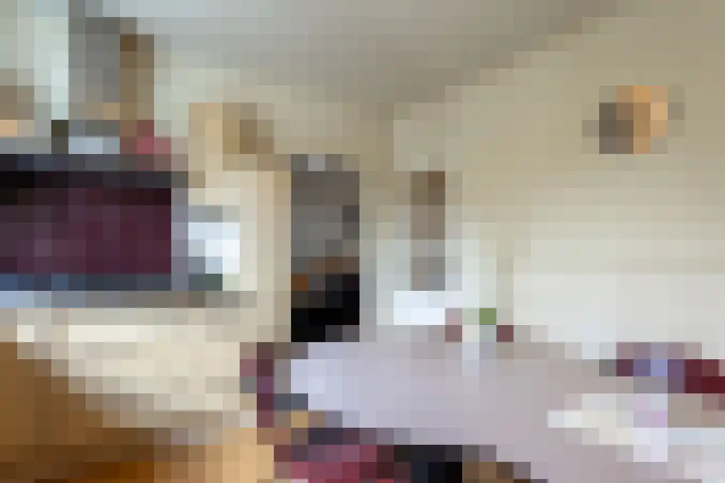 Dijk 26 Grevenbicht thumbnail 19