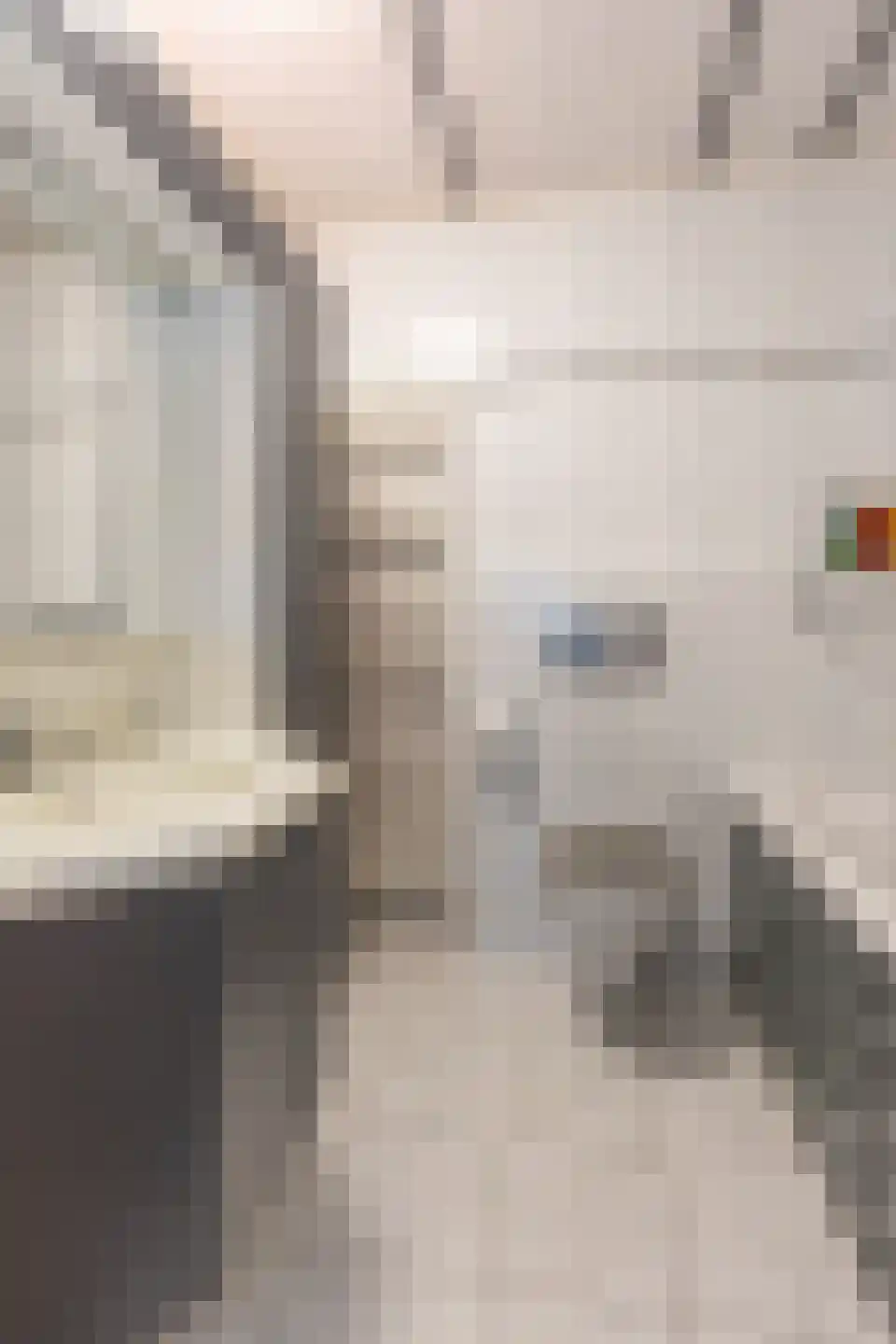 Dijk 26 Grevenbicht thumbnail 25