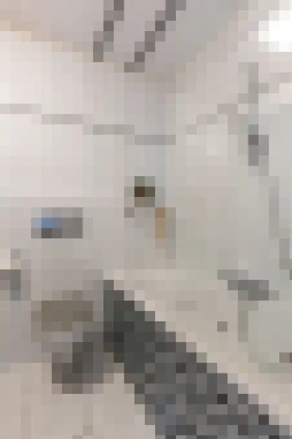 Dijk 26 Grevenbicht thumbnail 26
