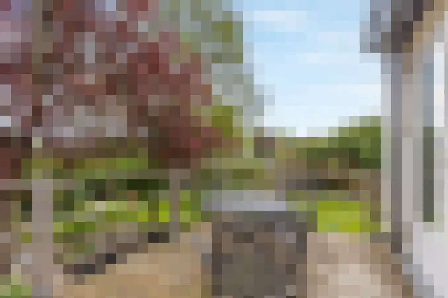 Dijk 26 Grevenbicht thumbnail 28