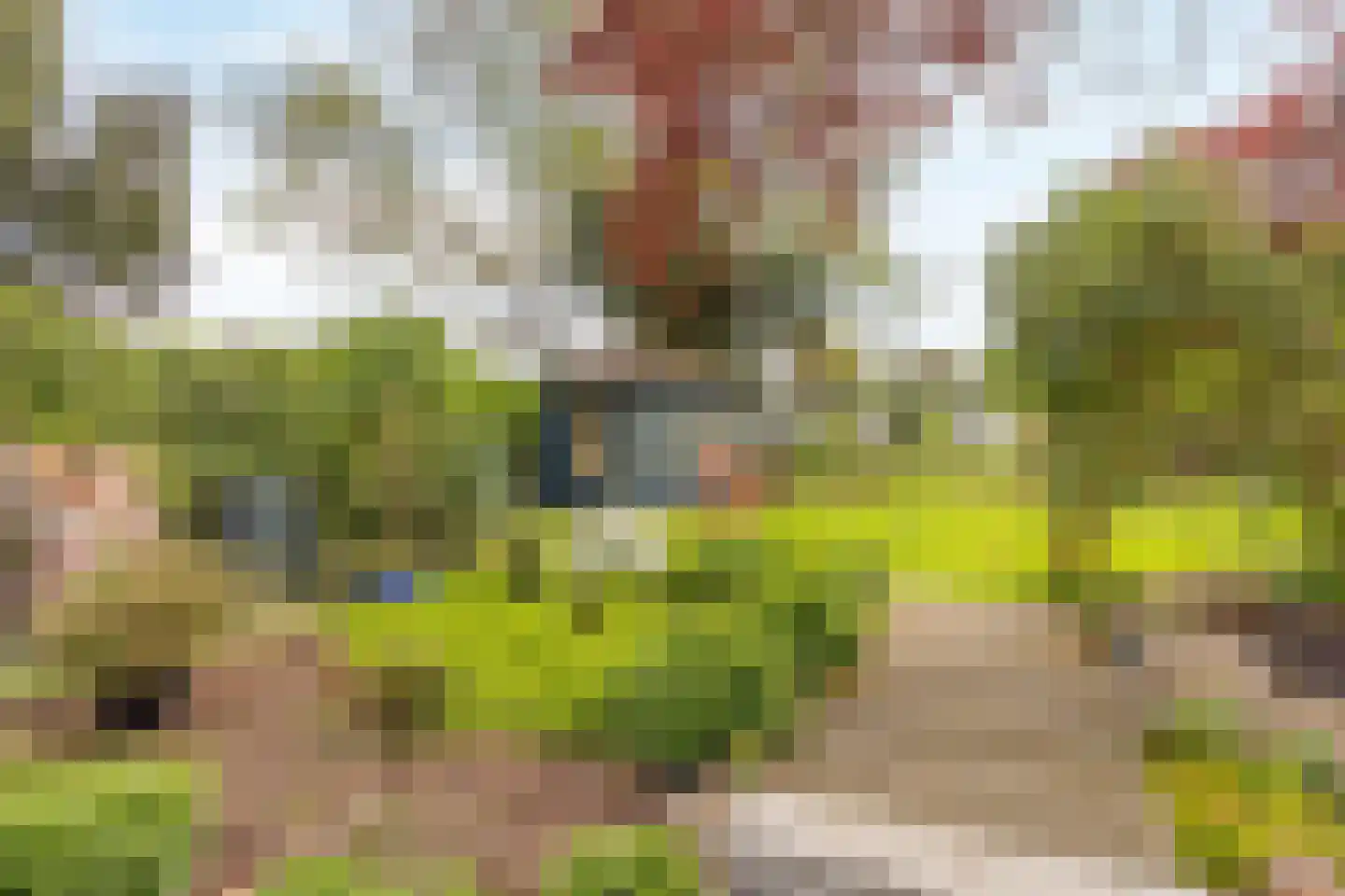 Dijk 26 Grevenbicht thumbnail 30