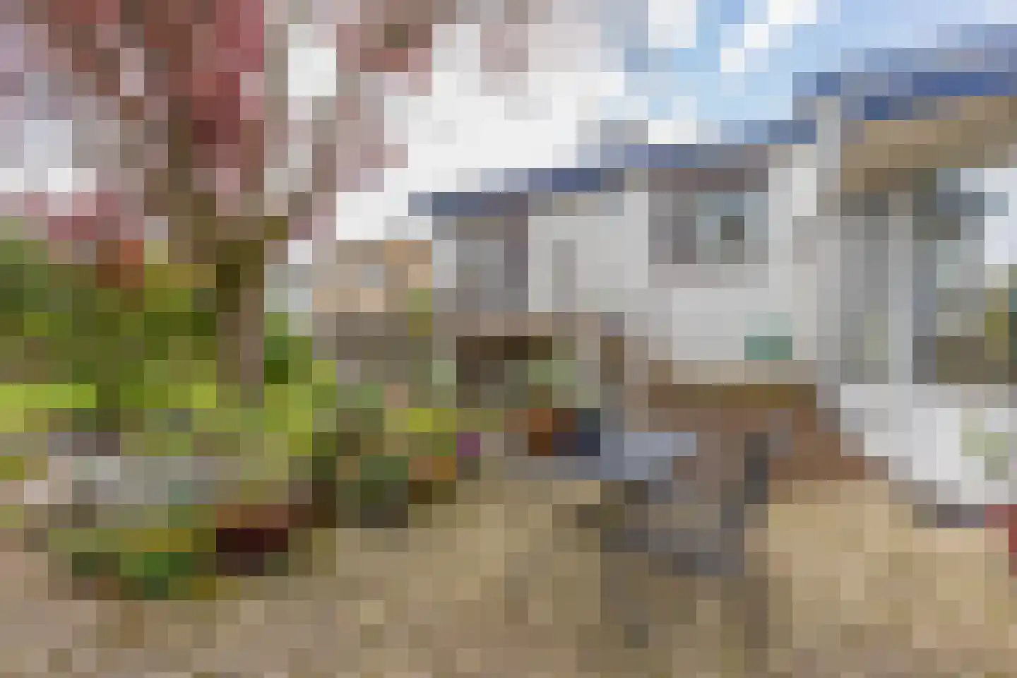 Dijk 26 Grevenbicht thumbnail 34
