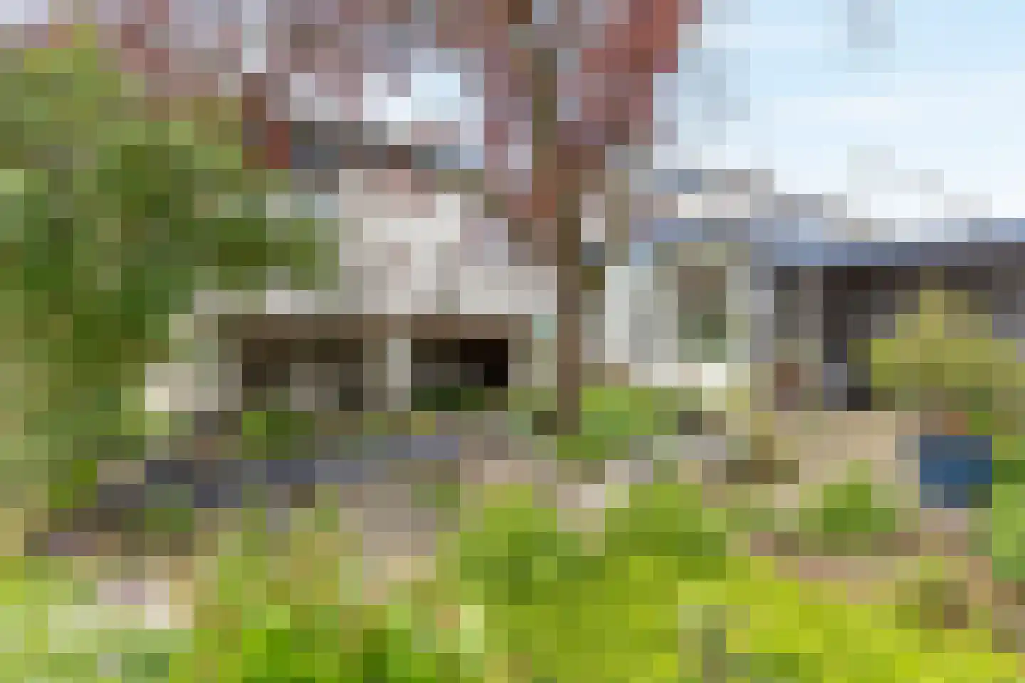Dijk 26 Grevenbicht thumbnail 36