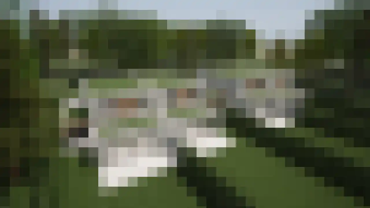 Dijk 3650 Rotem Grevenbicht thumbnail 10