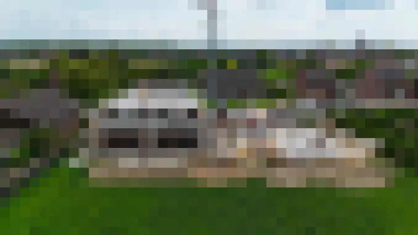 Dijk 3650 Rotem Grevenbicht thumbnail 5