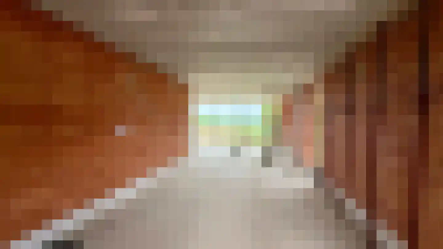 Dijk 3650 Rotem Grevenbicht thumbnail 7