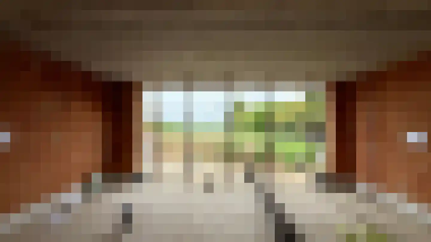 Dijk 3650 Rotem Grevenbicht thumbnail 8