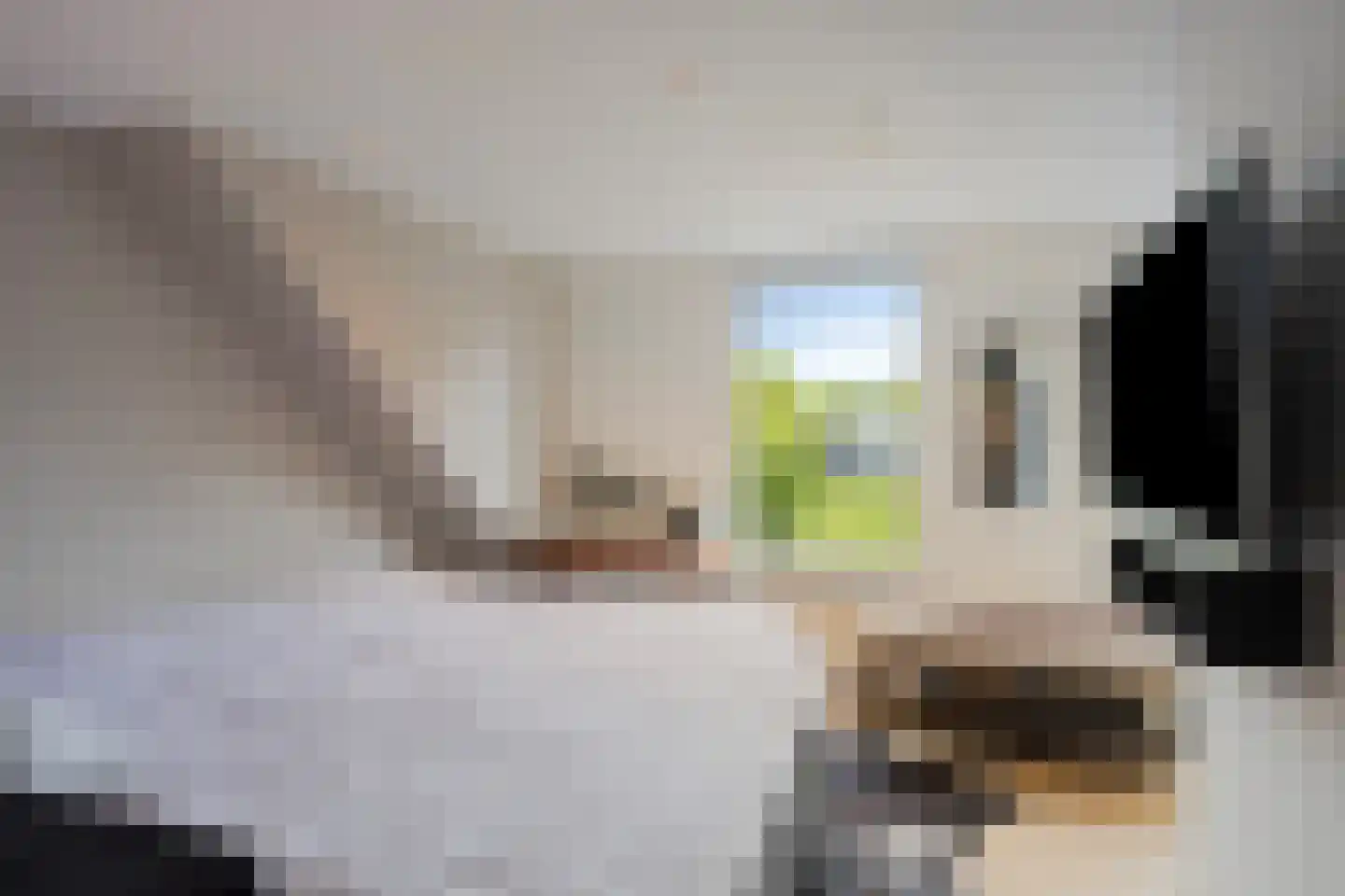 Dijk 44 Broek op Langedijk thumbnail 16