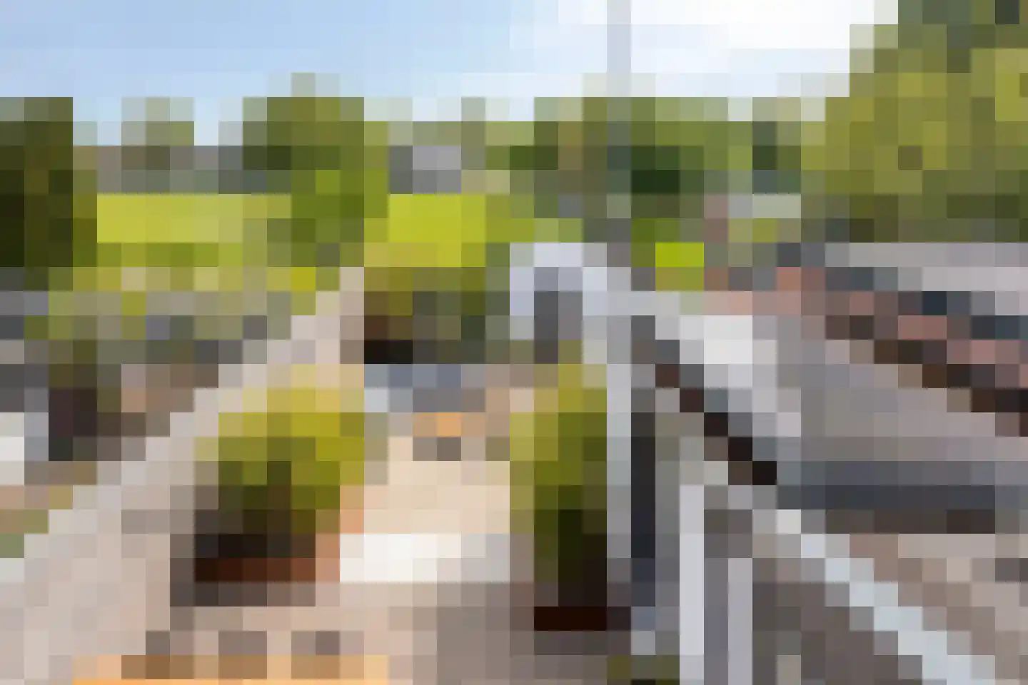 Dijk 44 Broek op Langedijk thumbnail 19