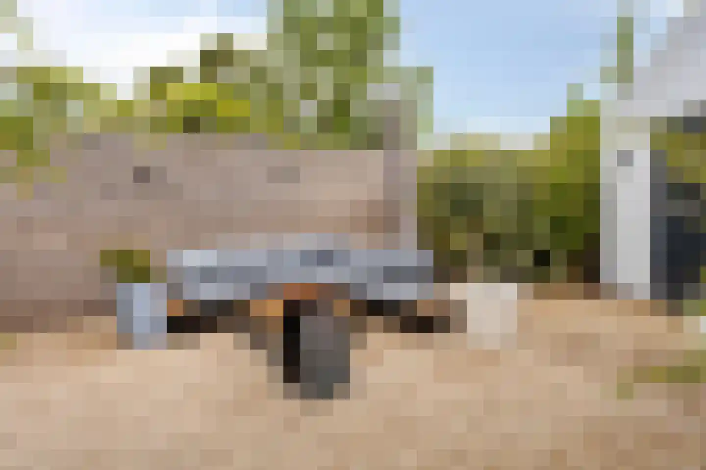 Dijk 44 Broek op Langedijk thumbnail 26