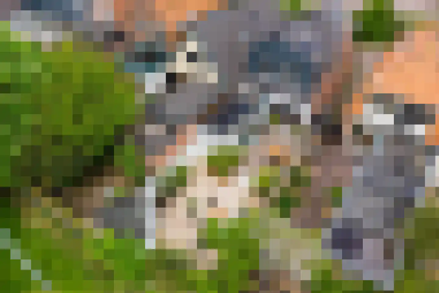 Dijk 44 Broek op Langedijk thumbnail 30