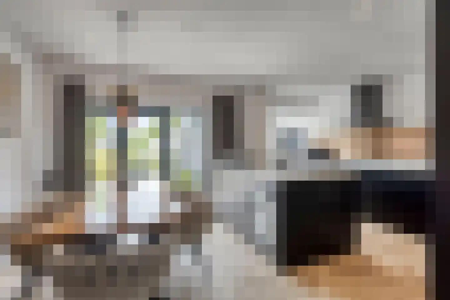 Dijk 44 Broek op Langedijk thumbnail 4