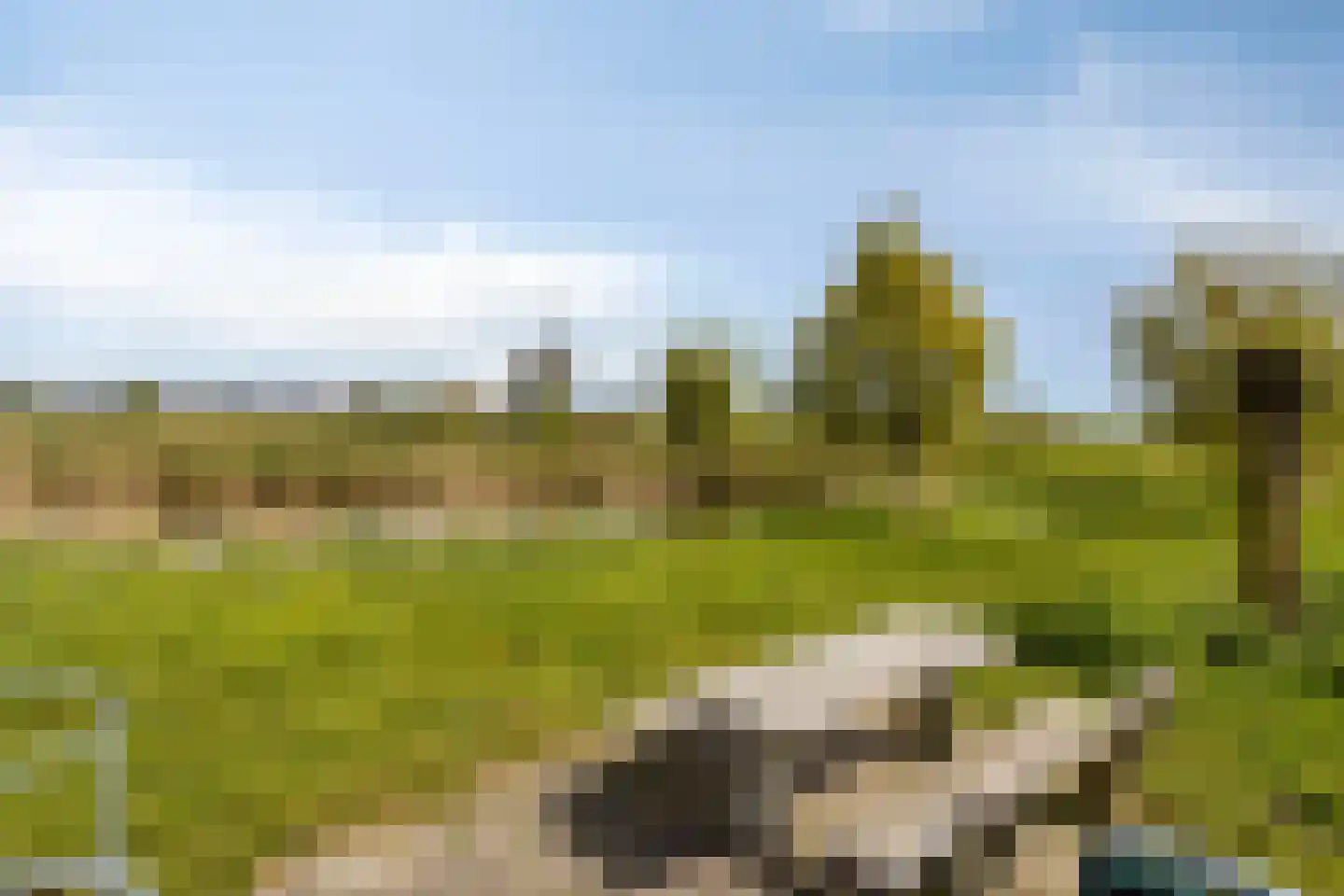 Dijk 44 Broek op Langedijk thumbnail 41