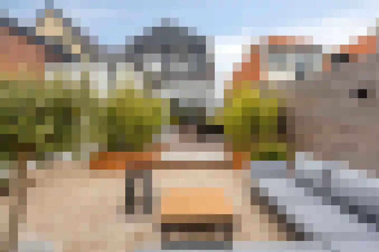 Dijk 44 Broek op Langedijk thumbnail 5