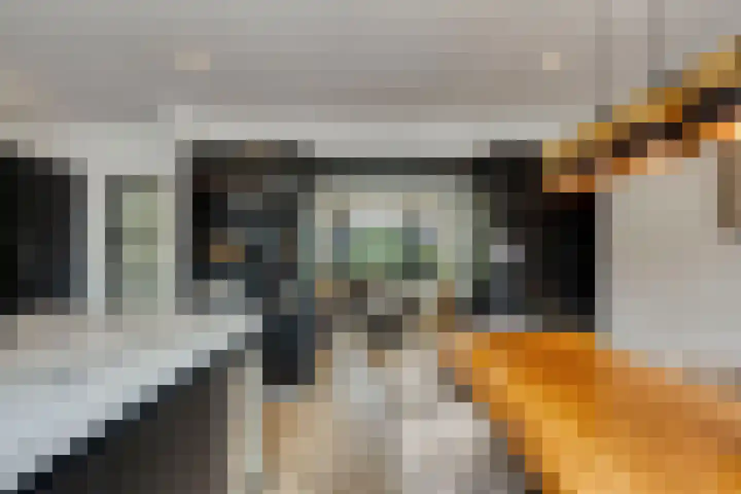 Dijk 44 Broek op Langedijk thumbnail 7