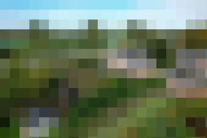 Dijk 45 dans Wijhe