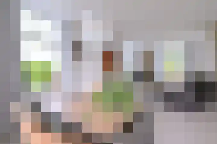 Dijk 45 Wijhe thumbnail 12