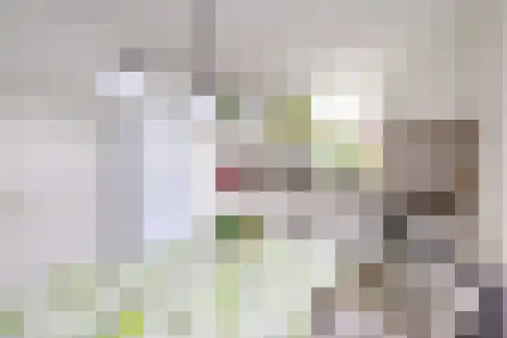 Dijk 45 Wijhe thumbnail 15