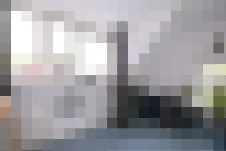 Dijk 45 Wijhe thumbnail 27