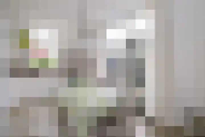 Dijk 45 Wijhe foto 3
