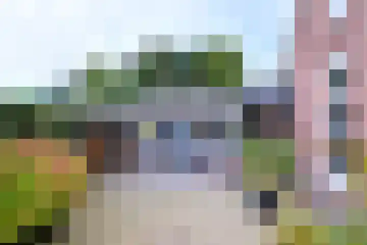 Dijk 45 Wijhe thumbnail 30