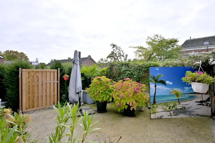Dijk 45 Wijhe thumbnail 31