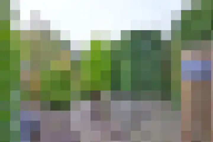 Dijk 45 Wijhe thumbnail 32