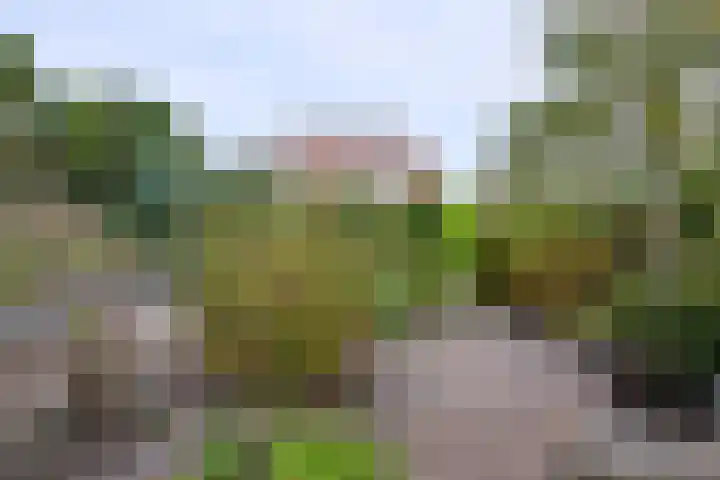 Dijk 45 Wijhe thumbnail 33