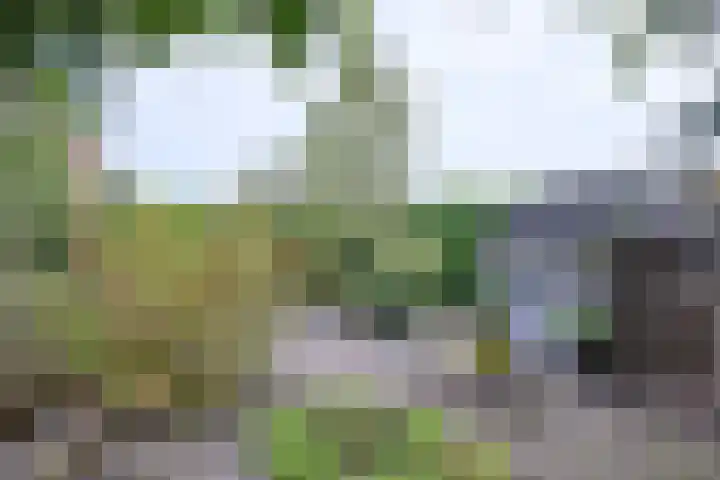 Dijk 45 Wijhe thumbnail 35