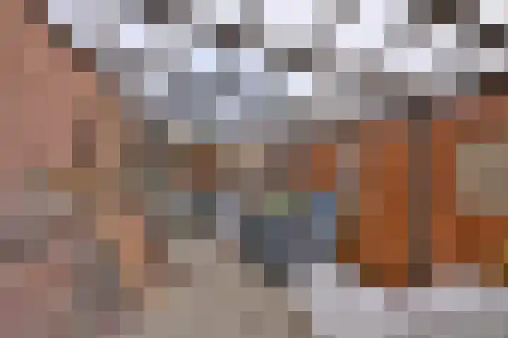 Dijk 45 Wijhe thumbnail 38