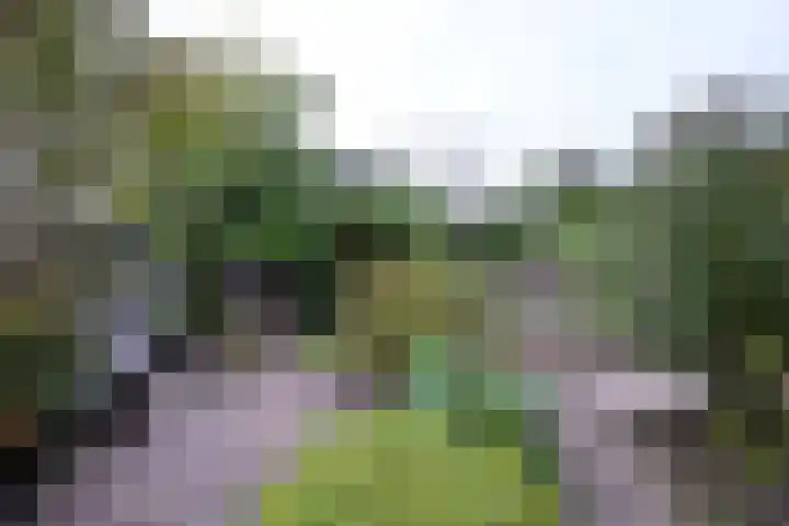 Dijk 45 Wijhe thumbnail 4