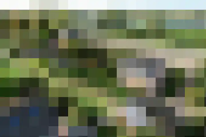 Dijk 45 Wijhe thumbnail 41