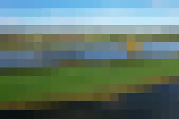 Dijk 45 Wijhe thumbnail 43