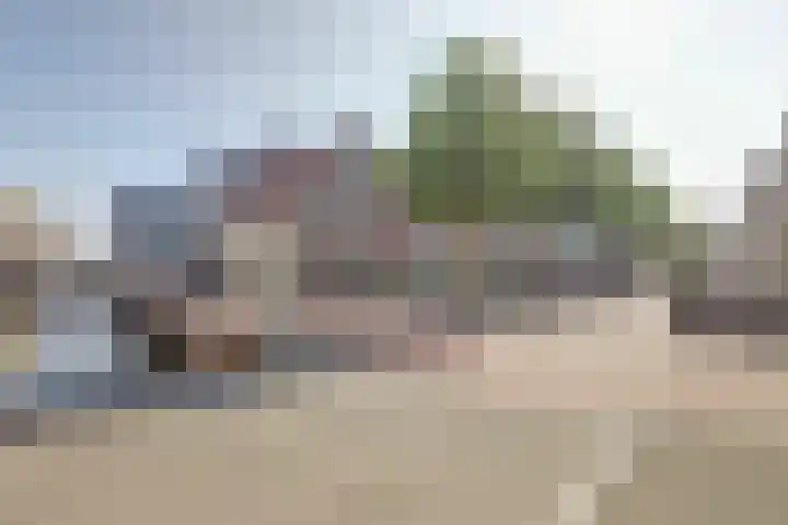 Dijk 5 B Alkmaar thumbnail 30
