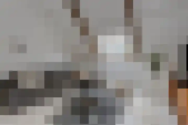 Dijk 5 B Alkmaar thumbnail 6