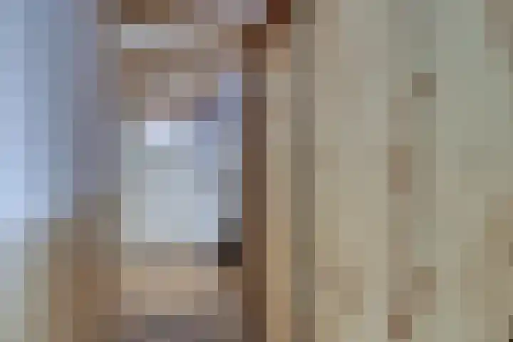 Dijk 69 Broek op Langedijk thumbnail 11