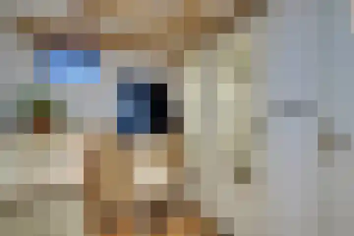 Dijk 69 Broek op Langedijk thumbnail 12