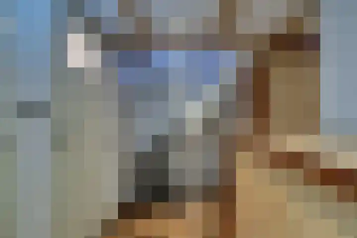 Dijk 69 Broek op Langedijk thumbnail 16