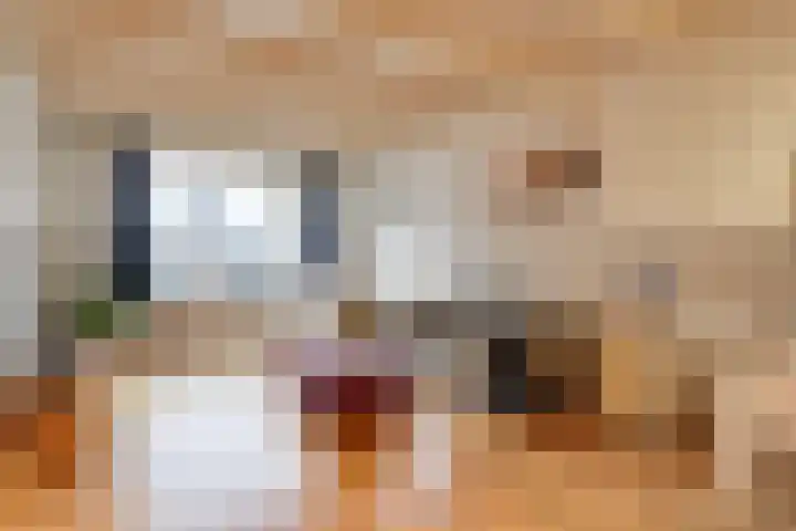 Dijk 69 Broek op Langedijk thumbnail 19