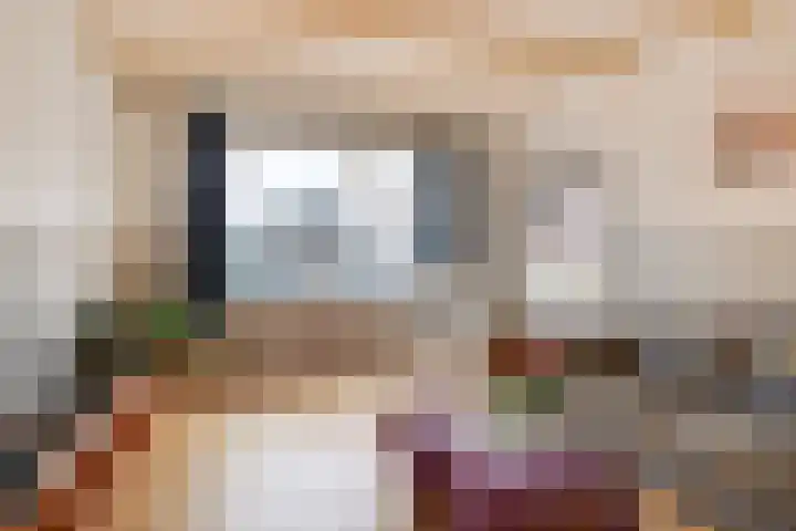Dijk 69 Broek op Langedijk thumbnail 20