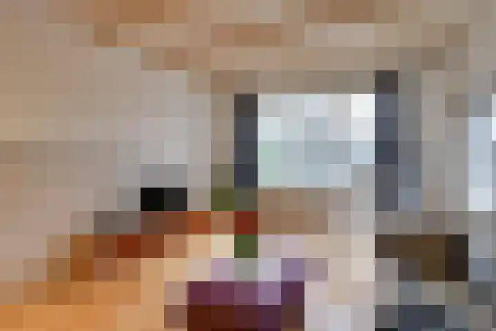 Dijk 69 Broek op Langedijk thumbnail 21