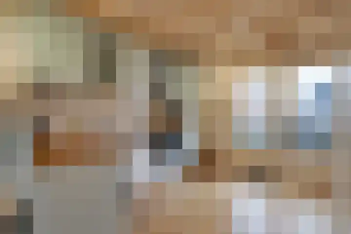 Dijk 69 Broek op Langedijk thumbnail 26